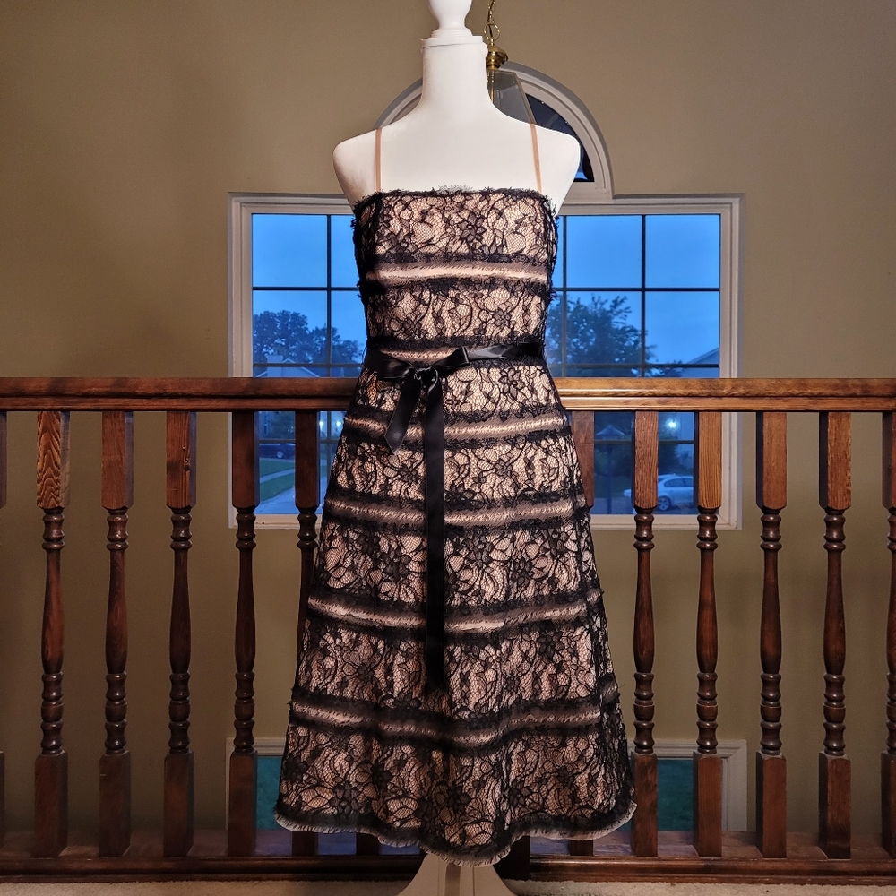 BCBGMaxAzria Nude and Black Lace Dress